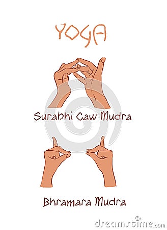 Vector mudras hands color isolated line fingers Vector Illustration