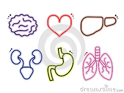 Vector multicolored human internal organs medicine icons Vector Illustration