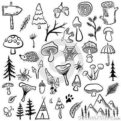 Vector mushrooms and forest symbols on a white background Vector Illustration