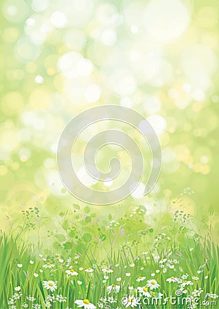 Vector nature background. Vector Illustration