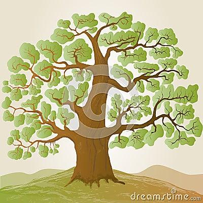 Vector oak tree Vector Illustration