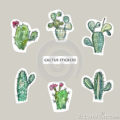 Cactus set. Watercolor style. Sticker design element Stock Photo