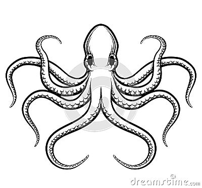 Vector octopus illustration Vector Illustration