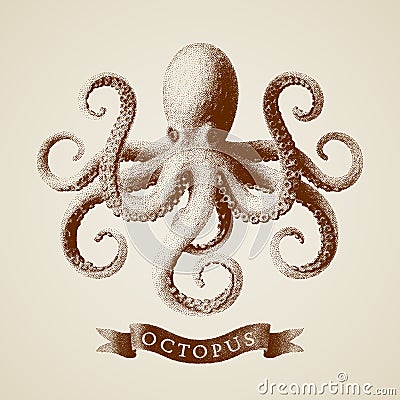 Vector octopus painted in engraving style Vector Illustration