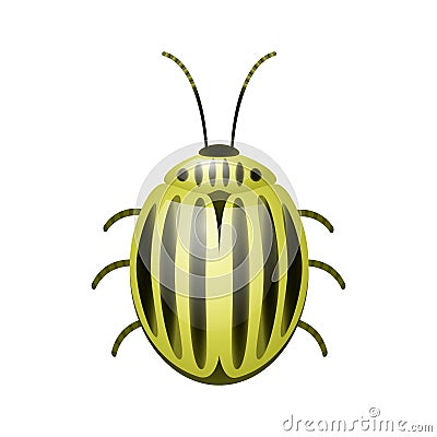 Vector Ñolorado beetle Cartoon Illustration