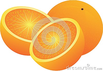 Vector oranges Vector Illustration