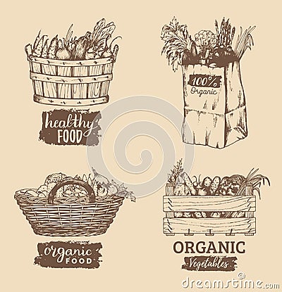 Vector organic vegetables images set. Farm products illustrations. Hand sketched baskets, box and bag with greens. Vector Illustration