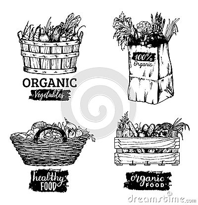 Vector organic vegetables images set. Farm products illustrations. Hand sketched baskets, box and bag with greens. Vector Illustration
