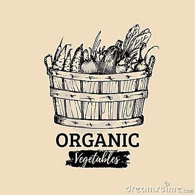 Vector organic vegetables logo. Farm eco products illustration. Hand sketched basket with greens. Rural harvest poster. Vector Illustration