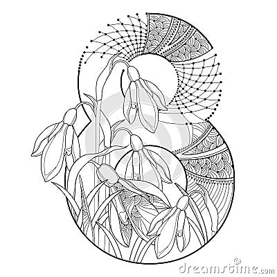Vector outline bouquet of Snowdrop or Galanthus flower and ornate number 8 in black isolated on white background. Vector Illustration