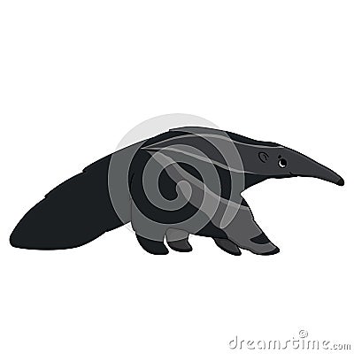 Vector outline cute cartoon isolated anteater gray animal is going to somewhere and looks up. Hand drawn doodle ant-eater Vector Illustration