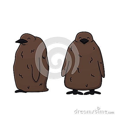 Vector outline illustration of king penguin brown chicks. Doodle cartoon single isolated kid fluffy animals on white background. Vector Illustration