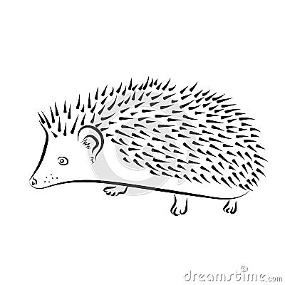 Vector outline isolated hedgehog illustration, sketch, logo. Pet African pygmy. Vector Illustration