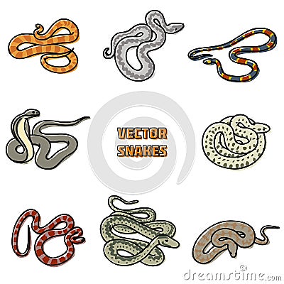 Vector outline set of snakes. Vector Illustration