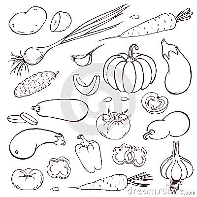 Vector outline vegetables set isolated on white background. outline veggies icon collection. vintage hand drawn engraved Vector Illustration