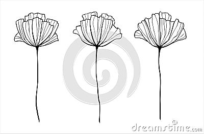 Vector outlined hand drawn Stock Photo