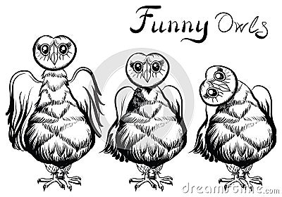 Vector owl illustration. Vector Illustration