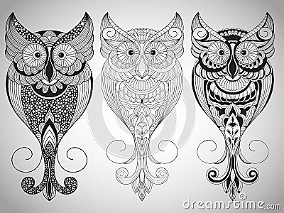 Vector Owls Vector Illustration