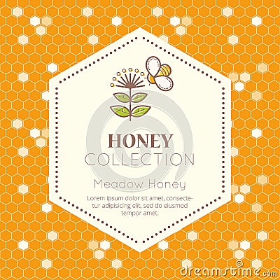 Vector packaging design - natural honey collection Vector Illustration