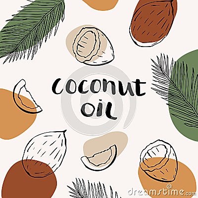 Vector packaging design and template for cosmetics labels and bottles with coconut oil. Vector Illustration