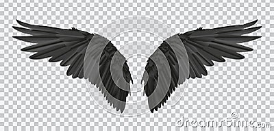 Vector pair of black realistic wings on transparent background Vector Illustration