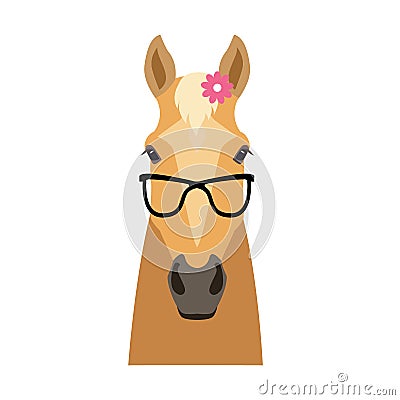 Vector palomino flat style horse head in sunglasses wearing flower Vector Illustration