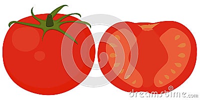 Vector pan for fried, for kitchen illustration Cartoon Illustration