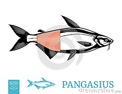 Vector pangasius fish illustration with fillet Vector Illustration