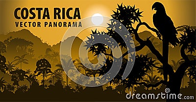 Vector panorama of Costa rica with jungle raimforest withara makaw parrot Vector Illustration