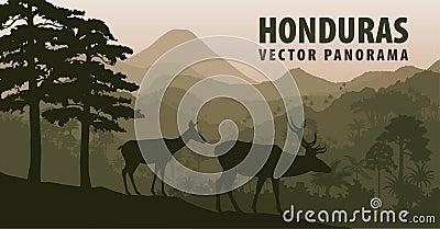 Vector panorama of Honduras with jungle raimforest and white-tailed deers Vector Illustration