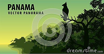 Vector panorama of Panama with jungle raimforest with harpy eagle Vector Illustration