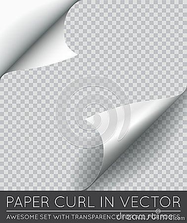 Vector Paper Page Curl with Shadow Isolated. Vector Illustration