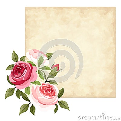 Vector parchment card with red and pink roses. Vector Illustration