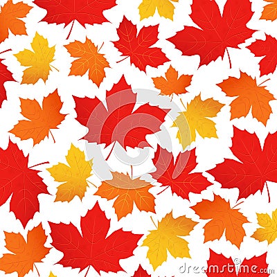 Vector pattern of autumn leaves. Red, orange, yellow maple leaf on a white background. Background for wrapping paper. Vector Illustration