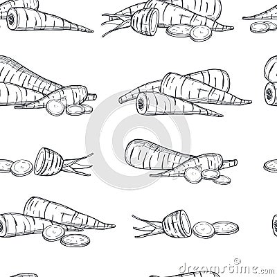 Vector pattern with sketch parsnip Vector Illustration