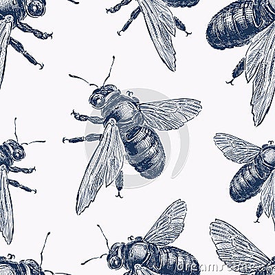 Seamless background of sketches bumblebees Vector Illustration