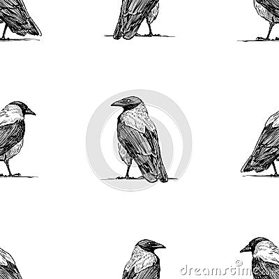 Seamless background of sketches large crows standidng and looking Vector Illustration
