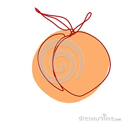 Peach in Continuous Line Drawing. Sketchy Single Apricot with Editable Stroke. Outline Simple Artwork with Editable Stroke. Vector Vector Illustration
