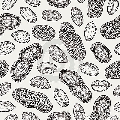 Vector peanut shells and seeds seamless pattern Vector Illustration