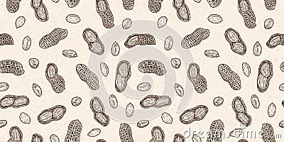 Vector peanut shells and seeds seamless pattern Vector Illustration