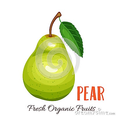 Vector pear illustration Vector Illustration