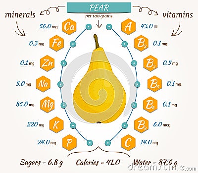 Vector pear infographics. Vector Illustration