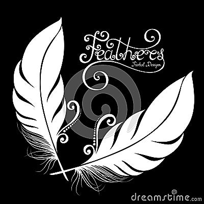 Vector Peerless Decorative Feather Vector Illustration