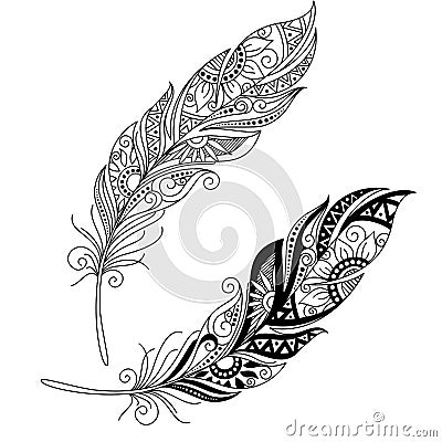 Vector Peerless Decorative Feather Vector Illustration