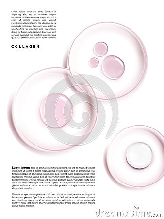 Petri Dish with Beauty Cream or Gel 3D Illustration under sunlight for Beauty and Healthcare Poster, Product Packaging, or Vector Illustration