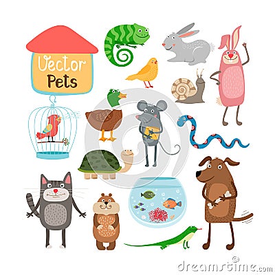 Vector pets Vector Illustration