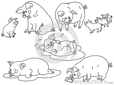 Vector Pigs Set Vector Illustration