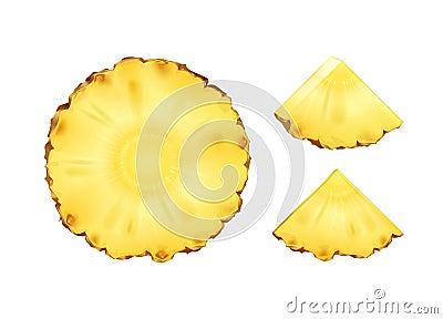 Vector Pineapple Slices Vector Illustration