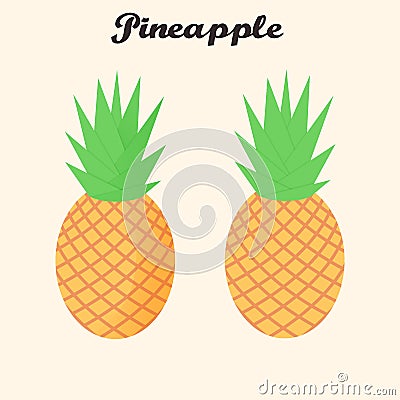 Vector pineapple tropical fruit set in flat style Vector Illustration