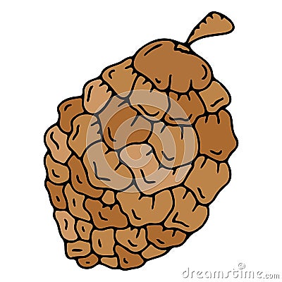 Vector pinecone icon, pinecone doodle Vector Illustration